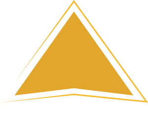 toplayer.customs